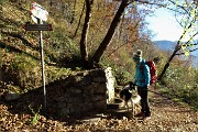 13 A questa fontana deviamo a sx su sentiero ora in decisa salita nel bosco